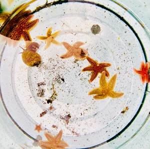 Meet your Posher, Derek